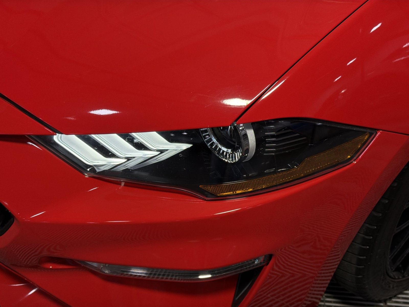 Used 2019 Ford Mustang GT Premium w/ GT Performance Package RWD image 13