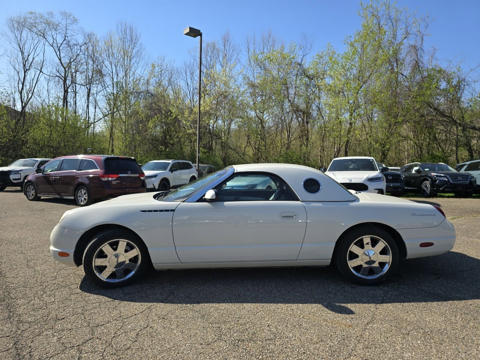 Used 2002 Ford Thunderbird image 5