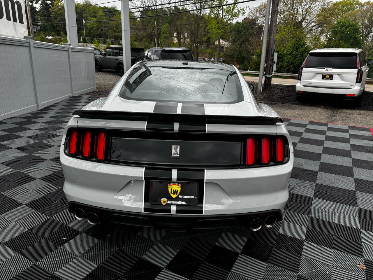 Used 2017 Ford Mustang Shelby GT350 RWD image 5