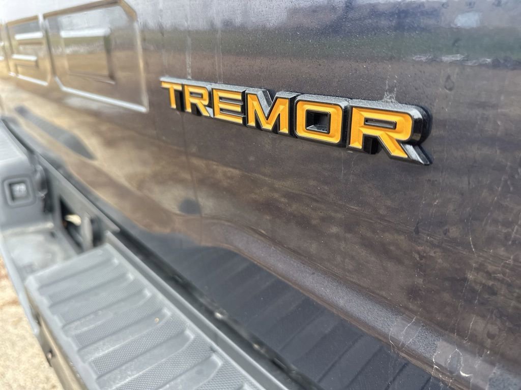 Used 2023 Ford F150 Tremor image 12