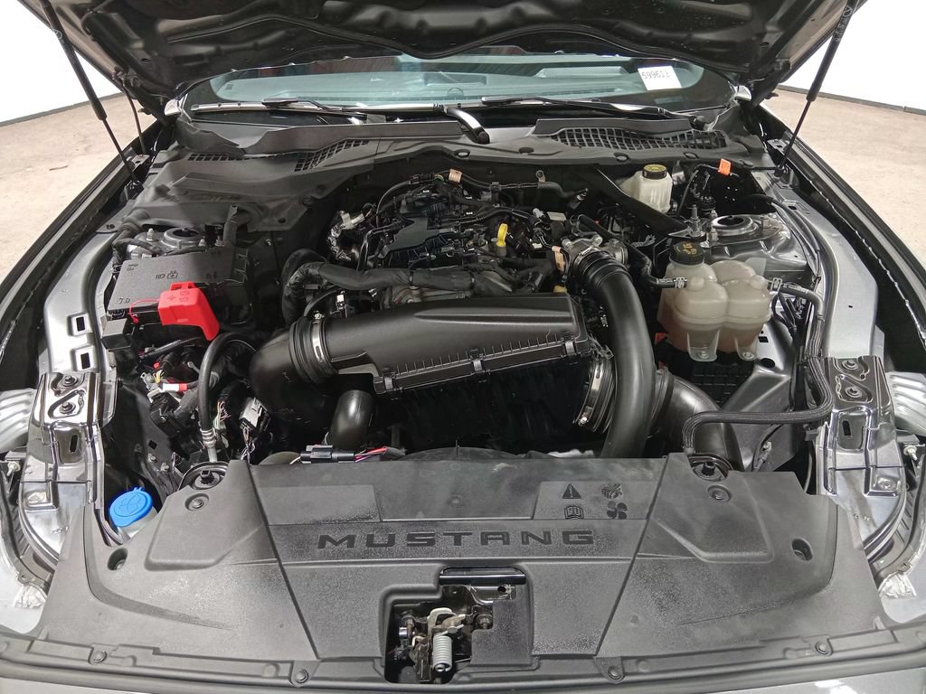 Certified 2024 Ford Mustang Premium RWD image 11