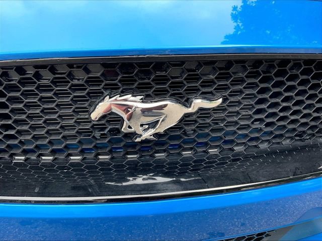 Used 2019 Ford Mustang GT Premium w/ GT Performance Package RWD image 4