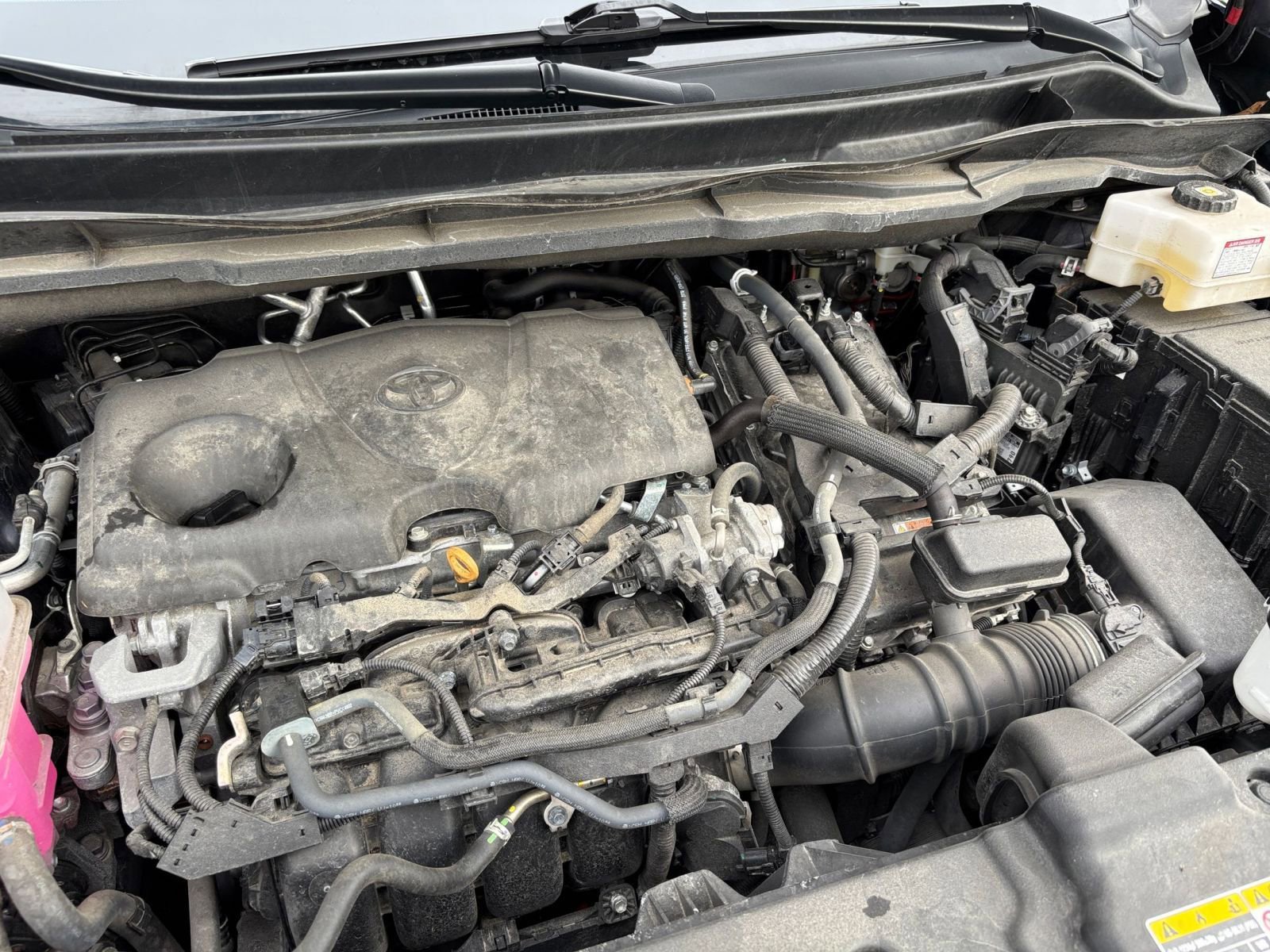 Used 2025 Toyota Sienna XLE FWD image 35
