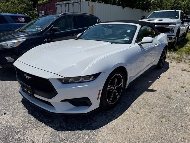 Used 2024 Ford Mustang Premium RWD image 4