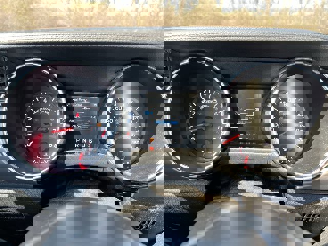 Used 2019 Ford Mustang GT Premium image 12