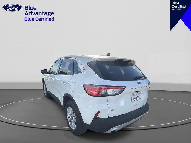 Certified 2022 Ford Escape SE w/ Convenience Package AWD/4WD image 6