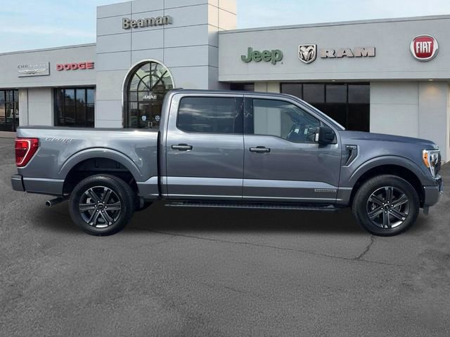 Used 2023 Ford F150 XLT w/ Equipment Group 302A High AWD/4WD image 8
