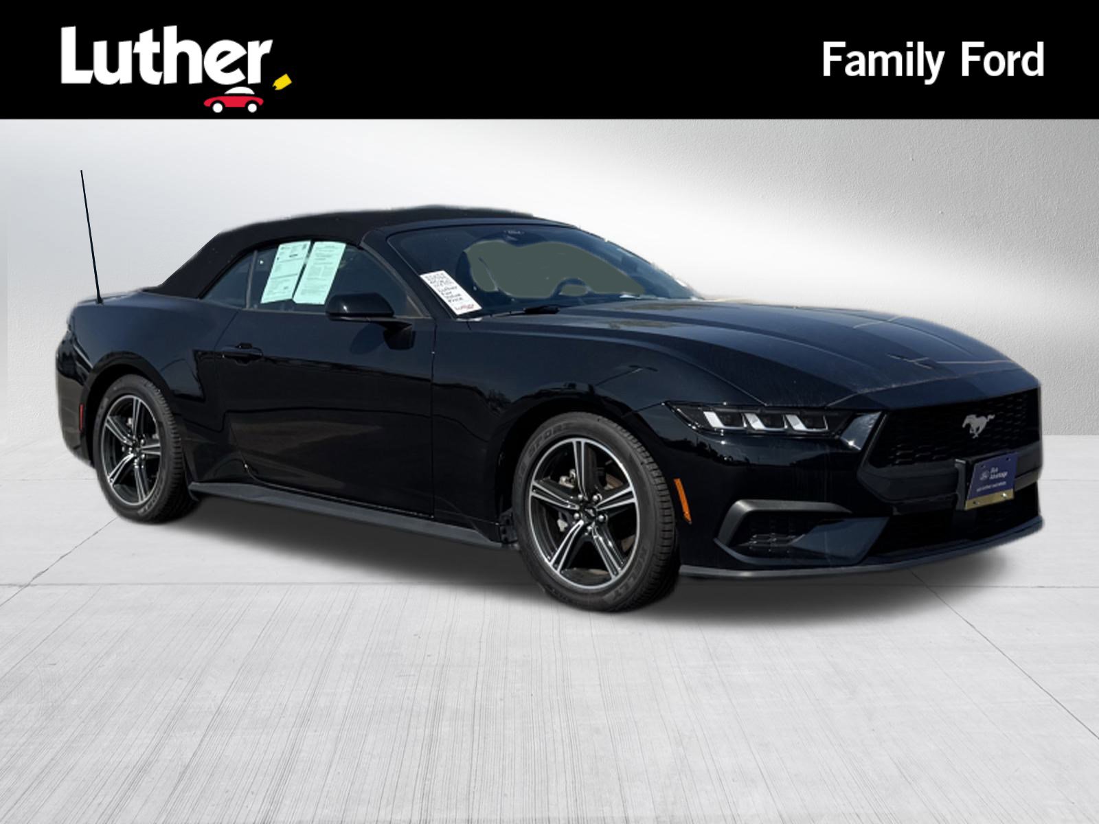 Certified 2024 Ford Mustang Premium image 1