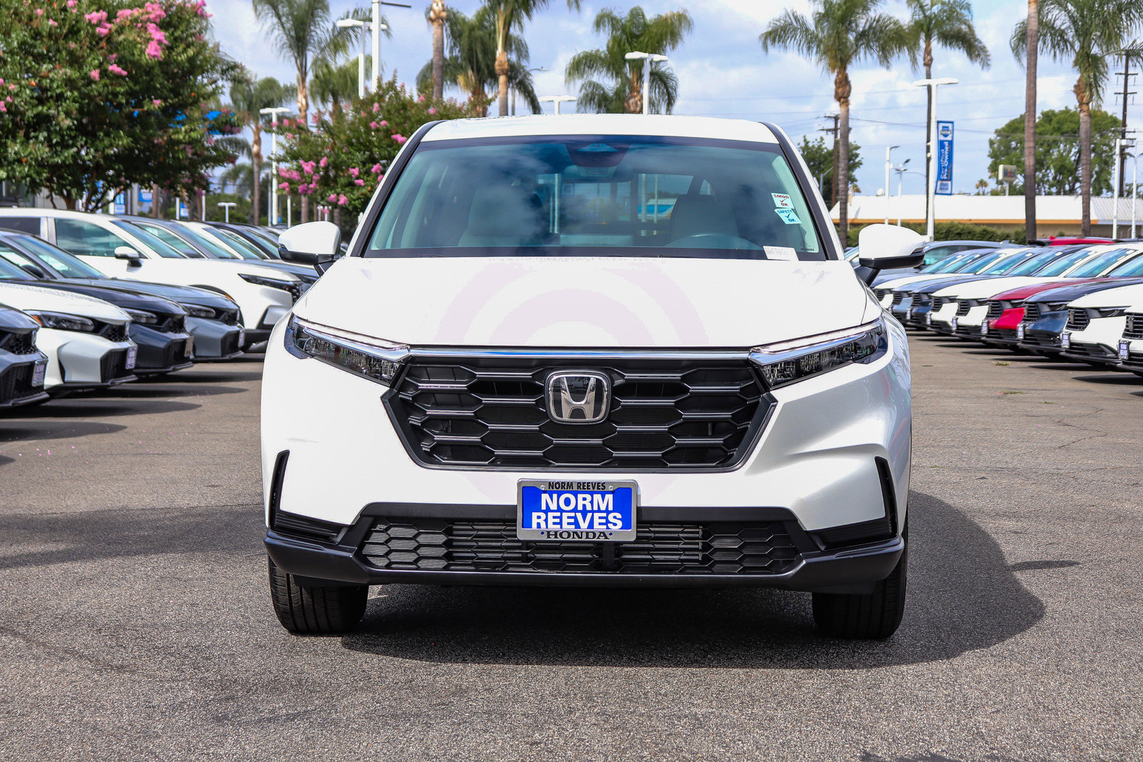 Used 2026 Honda CR-V LX image 2