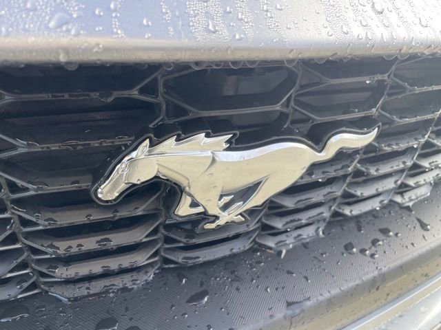 New 2026 Ford Mustang Coupe image 27