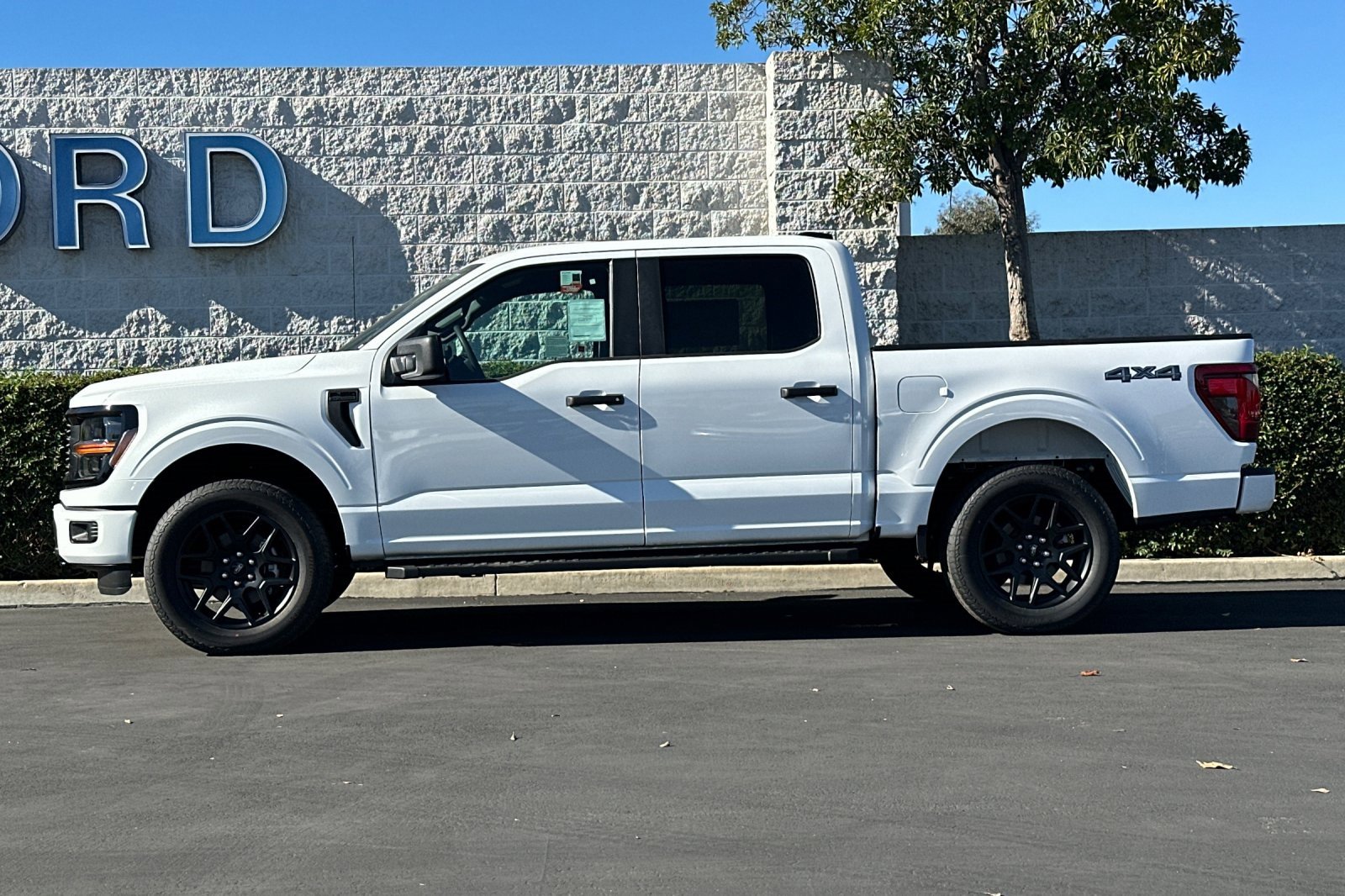 New 2025 Ford F150 STX w/ STX Black Appearance Package image 7