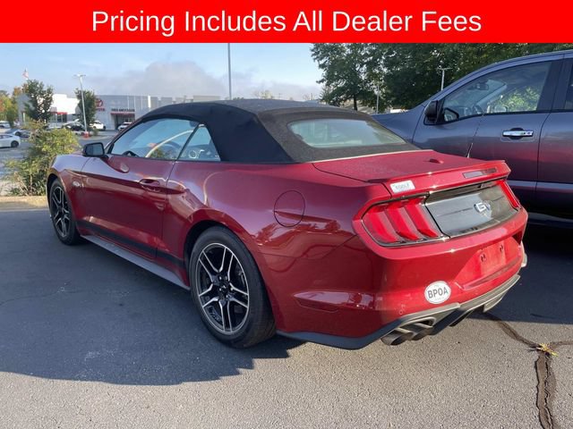 Used 2022 Ford Mustang GT Premium w/ Equipment Group 401A RWD image 5