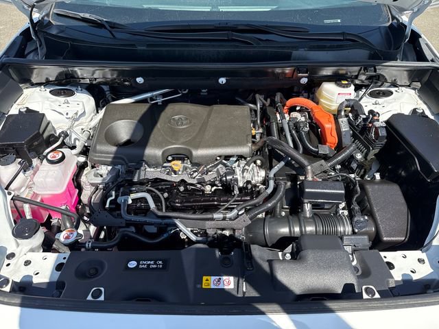 Used 2024 Toyota RAV4 XLE AWD/4WD image 28