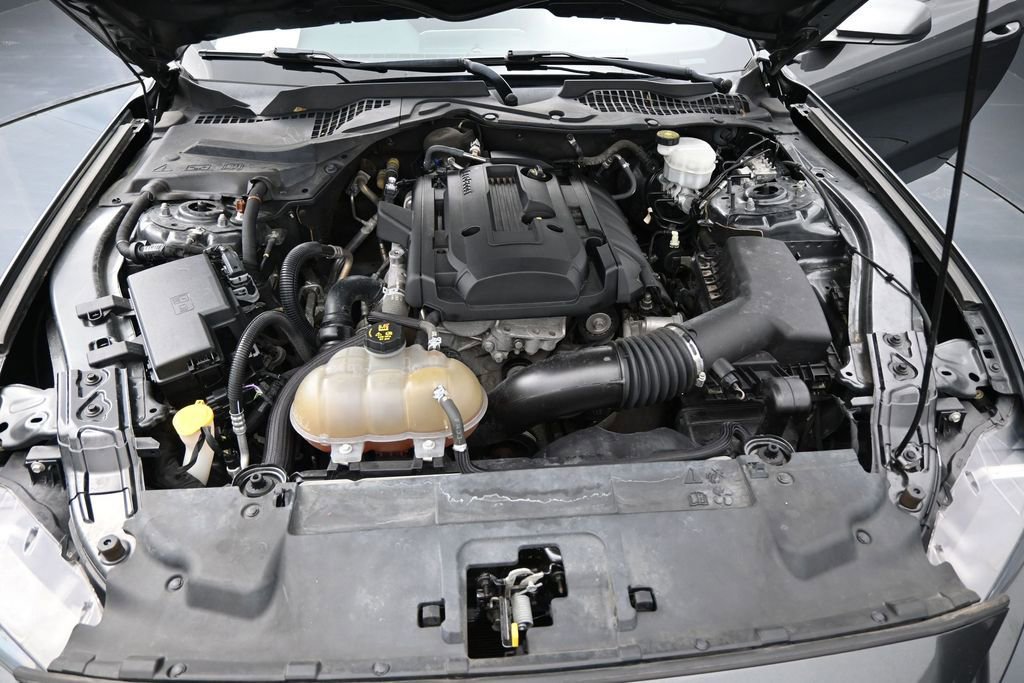 Used 2019 Ford Mustang Coupe w/ Equipment Group 101A RWD image 25