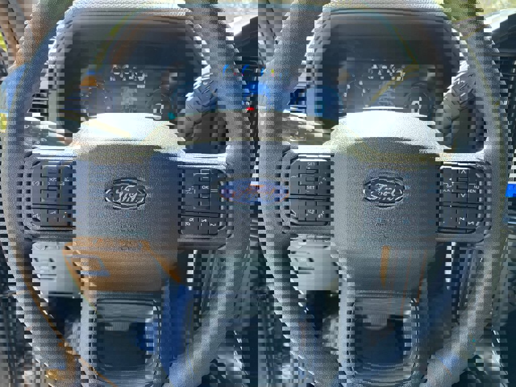 New 2026 Ford F150 STX w/ Equipment Group 200A image 14