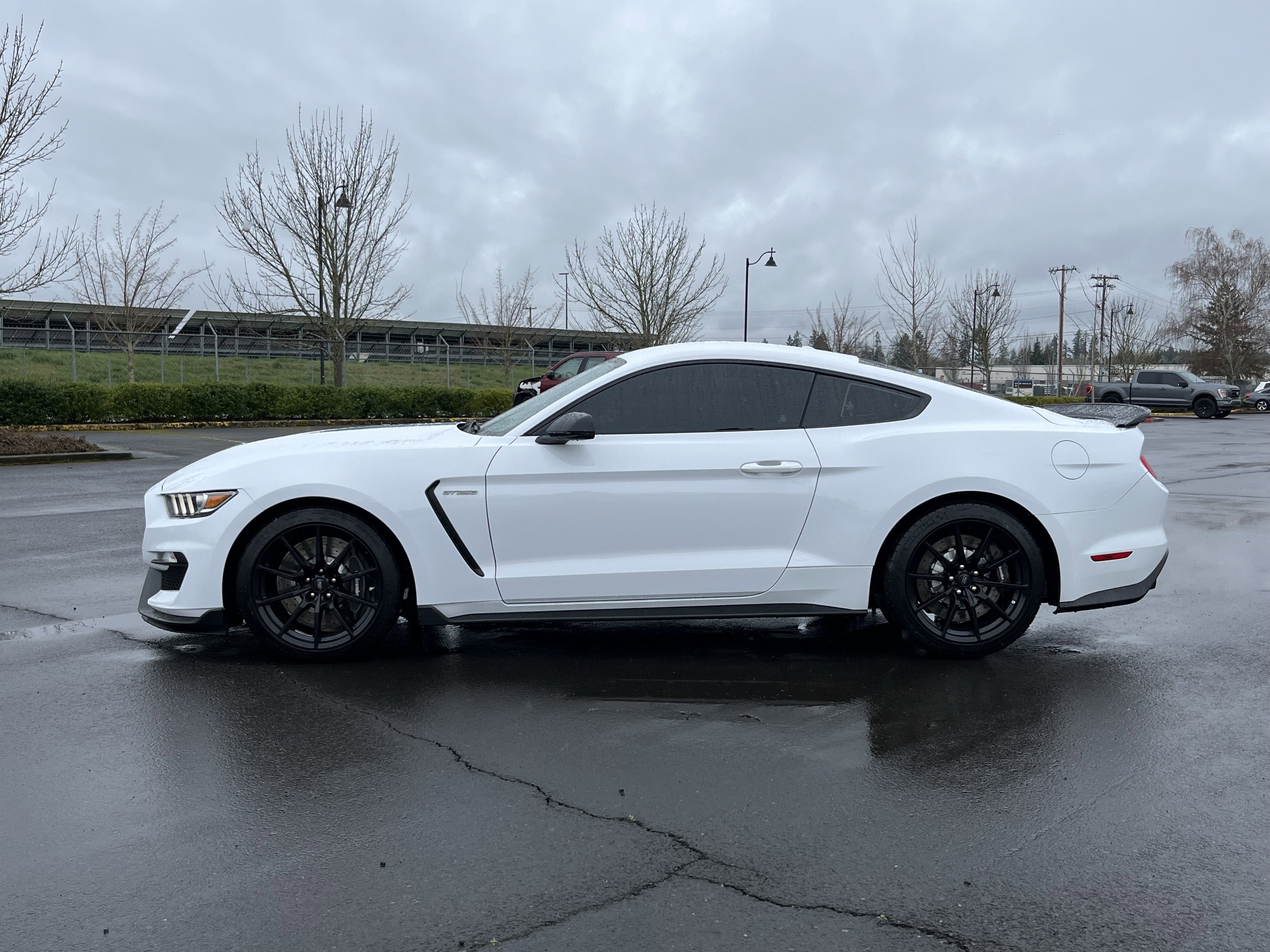 Used 2017 Ford Mustang Shelby GT350 w/ Electronics Package image 3