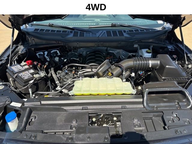 Used 2025 Ford F150 XLT w/ Equipment Group 301A Standard AWD/4WD image 18