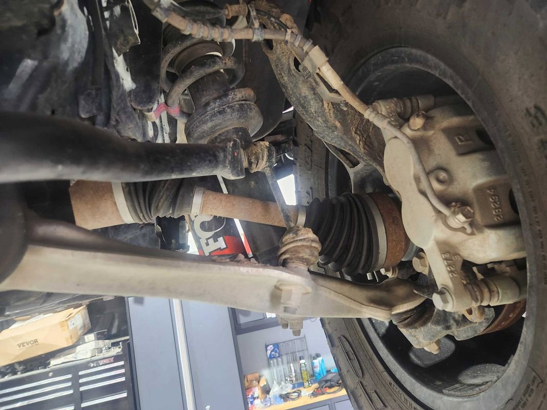 Used 2023 Ford Bronco Wildtrak image 12