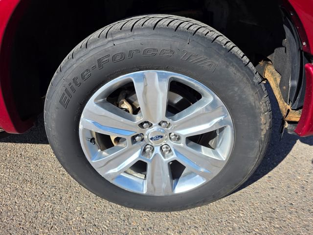 Used 2016 Ford F150 Platinum w/ Equipment Group 701A Luxury image 6