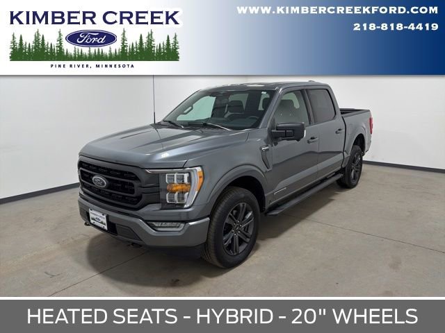 Used 2023 Ford F150 XLT w/ Equipment Group 302A High