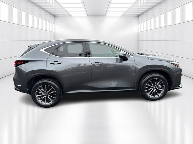 Used 2023 Lexus NX 250 AWD image 4