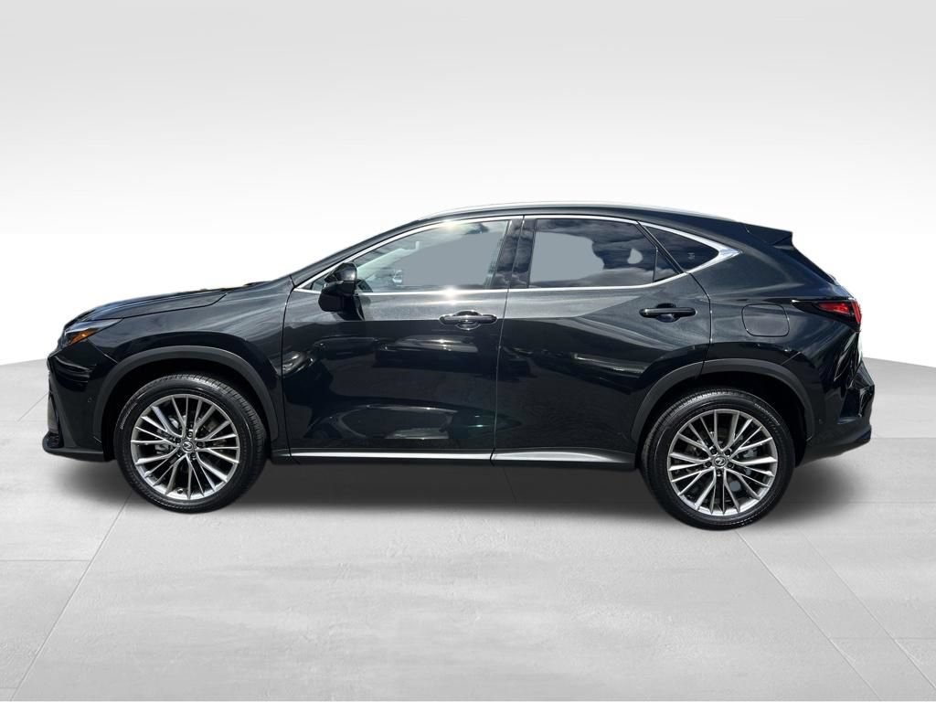Used 2025 Lexus NX 350h AWD w/ Accessory Package (K3) image 2
