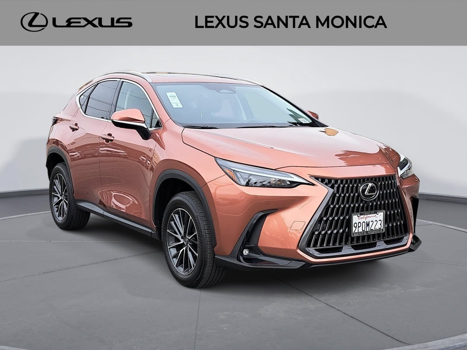 Used 2025 Lexus NX 350 AWD w/ Cold Area Package image 3