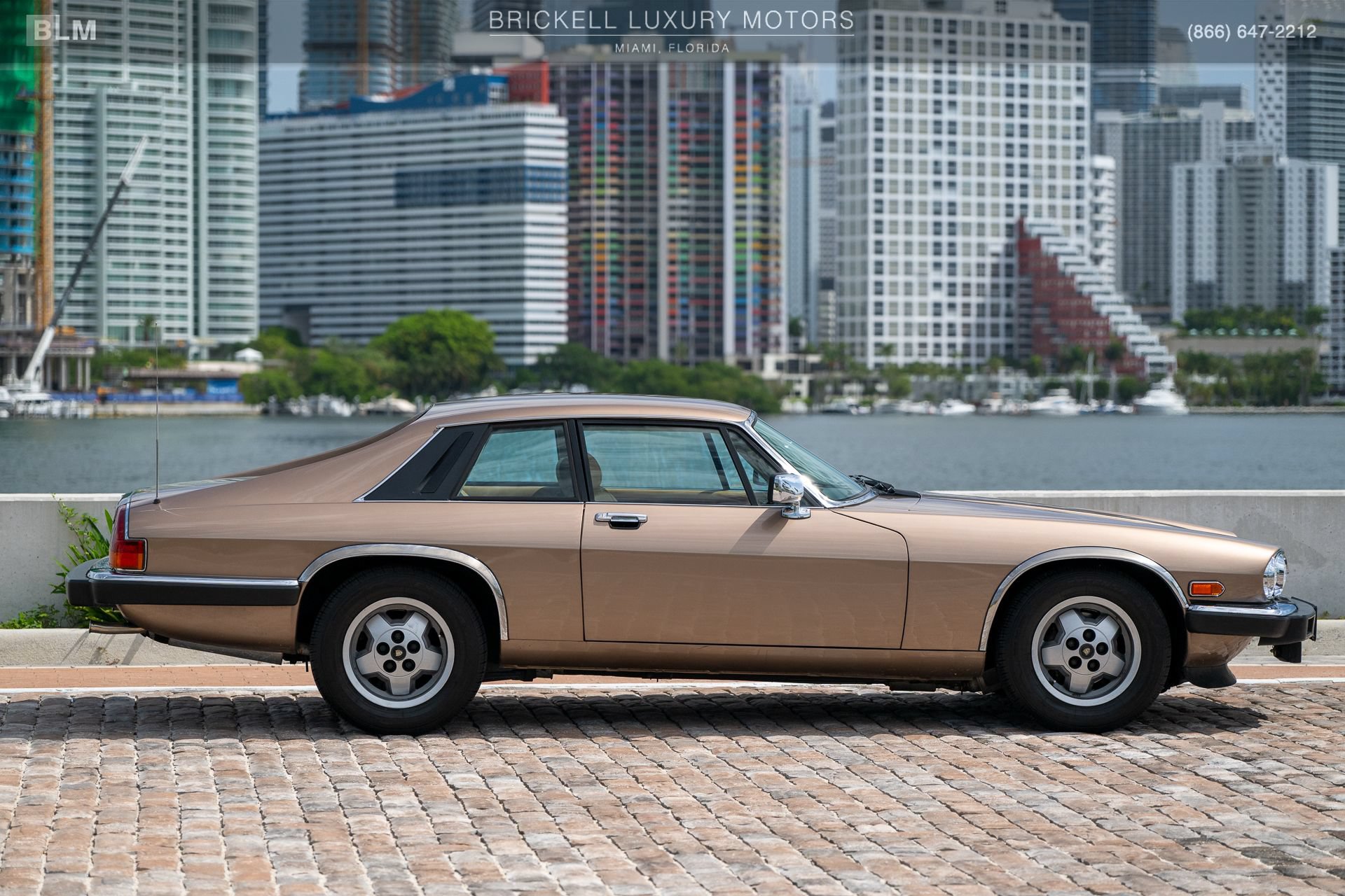 Used 1987 Jaguar XJS V12 Coupe RWD image 11