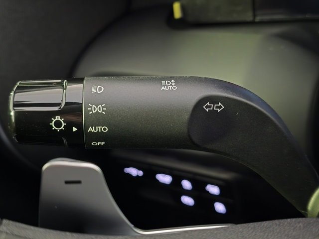 New 2026 Hyundai Palisade Calligraphy image 21