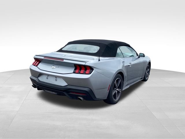 Used 2024 Ford Mustang Premium RWD image 3