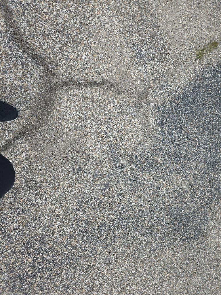 Certified 2024 Ford Escape ST-Line w/ Tech Pack #1 image 11