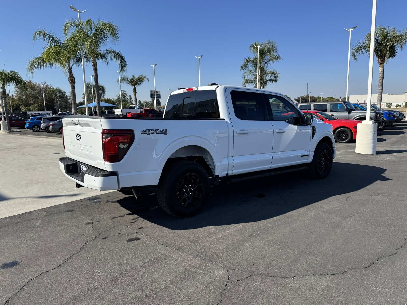Used 2024 Ford F150 XLT w/ Equipment Group 302A MID image 4