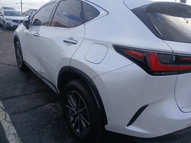 Used 2024 Lexus NX 350 AWD w/ Cold Area Package image 5