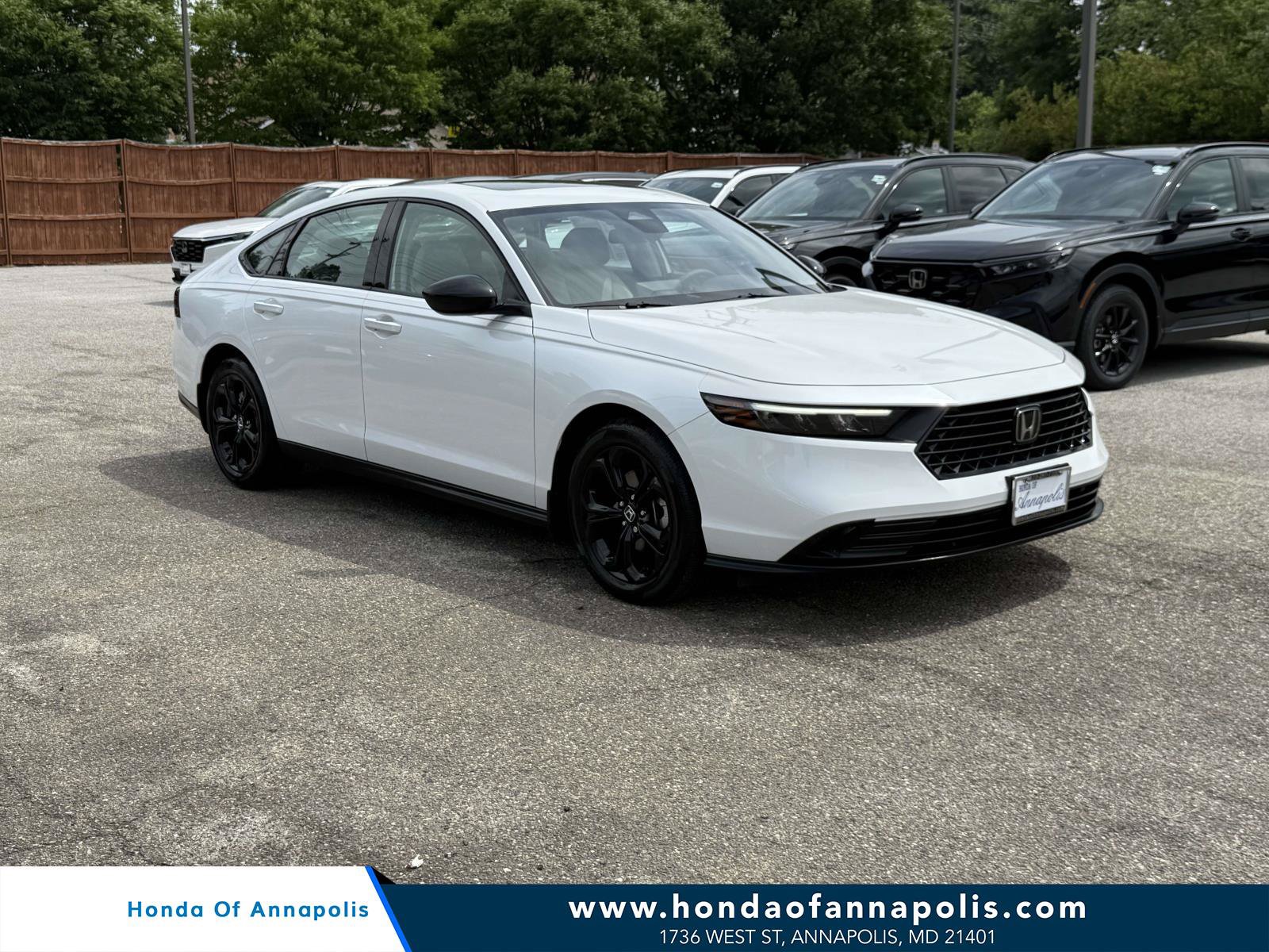 Certified 2025 Honda Accord SE image 1