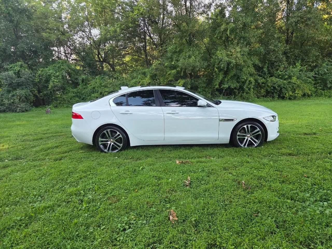 Used 2017 Jaguar XE Premium AWD/4WD image 2