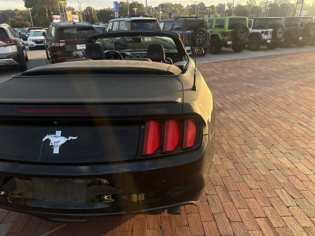 Used 2017 Ford Mustang Convertible w/ Equipment Group 051A RWD image 14