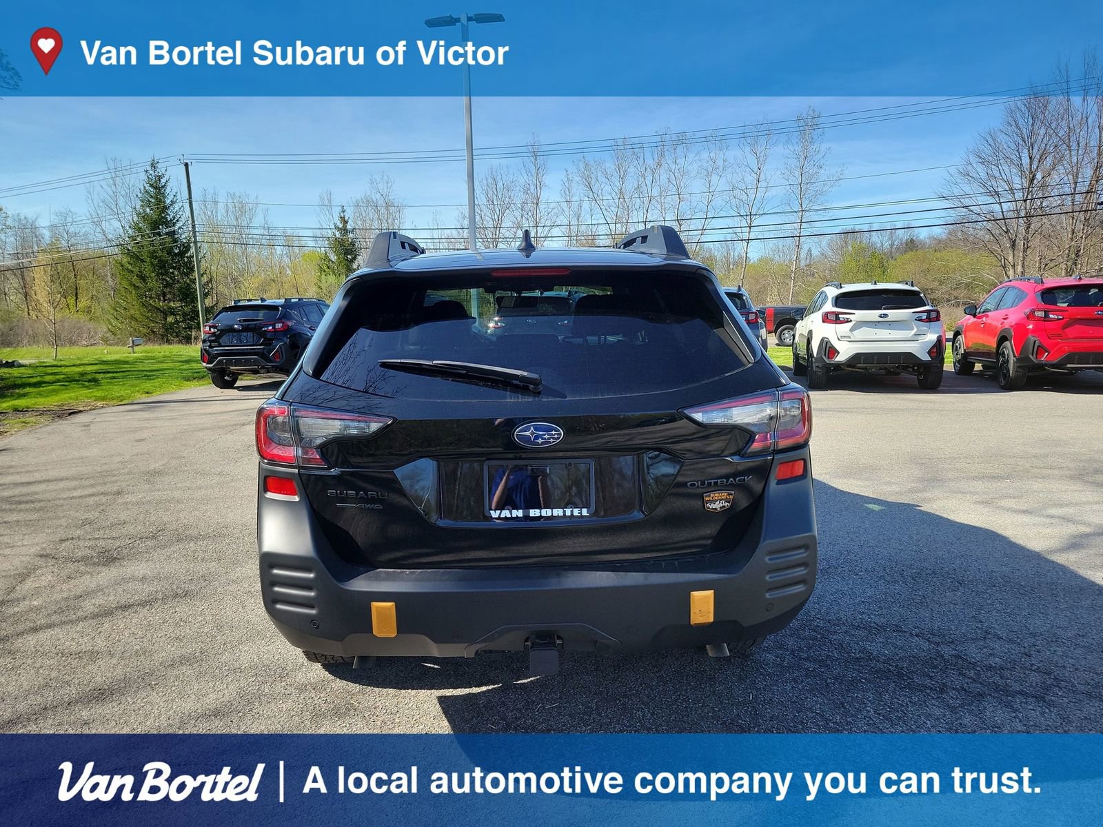Used 2022 Subaru Outback Wilderness AWD/4WD image 4