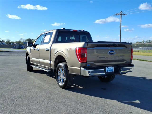 Certified 2023 Ford F150 XLT w/ Equipment Group 302A High image 2