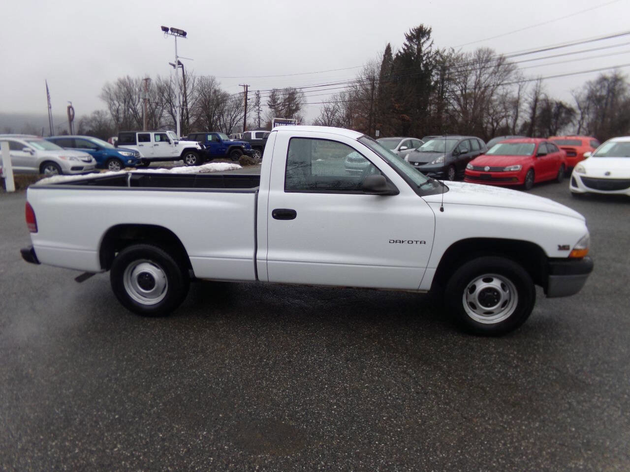 Used 2000 Dodge Dakota 2WD Regular Cab image 5