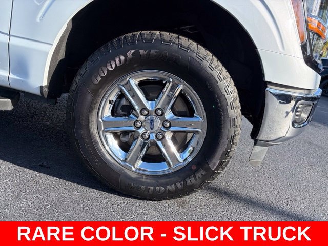 Used 2025 Ford F150 XLT w/ Equipment Group 301A Standard AWD/4WD image 8