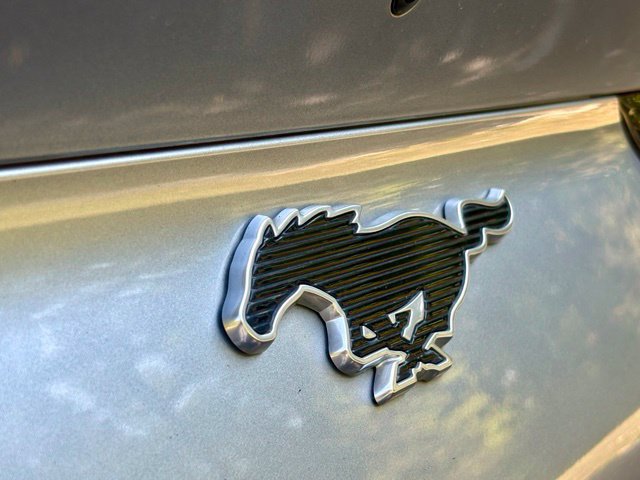 Used 2021 Ford Mustang Mach-E Premium AWD/4WD image 16