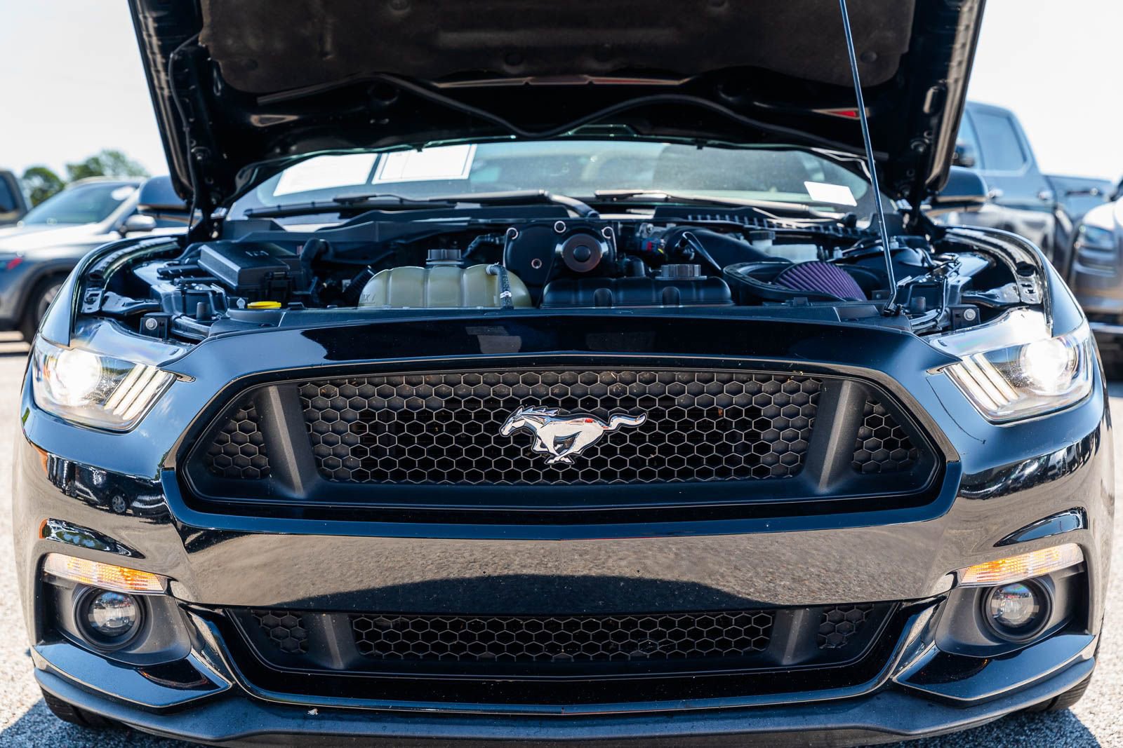 Used 2017 Ford Mustang GT Premium w/ Equipment Group 401A RWD image 21