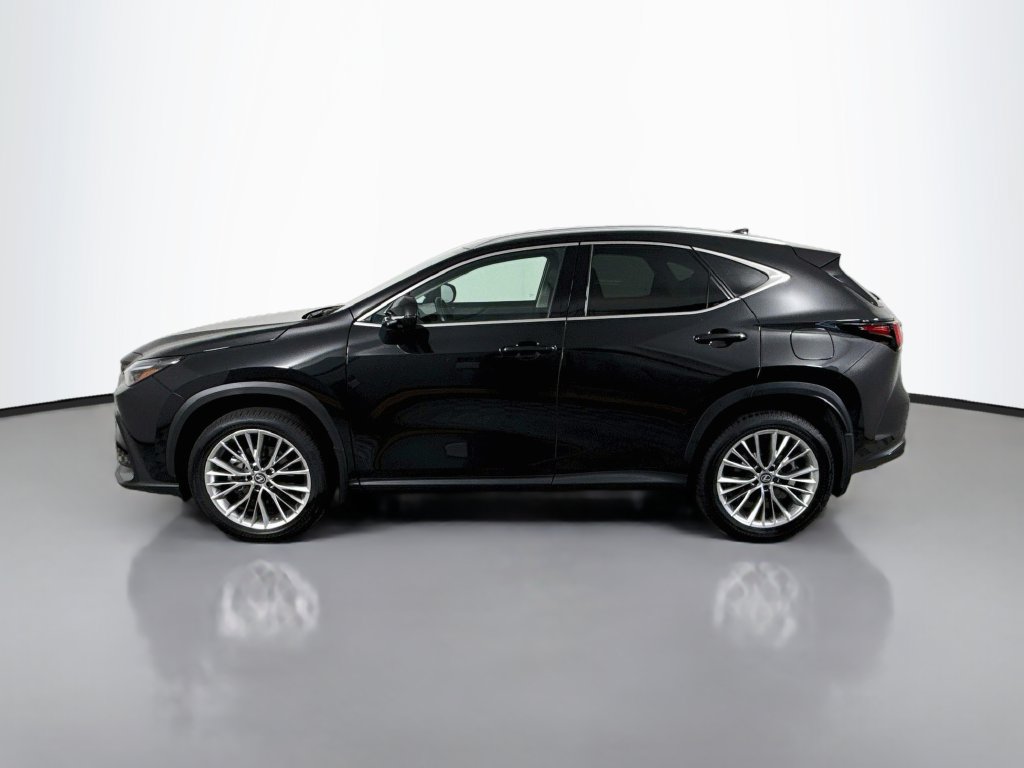 Certified 2026 Lexus NX 350 AWD w/ Accessory Package (2T) image 8