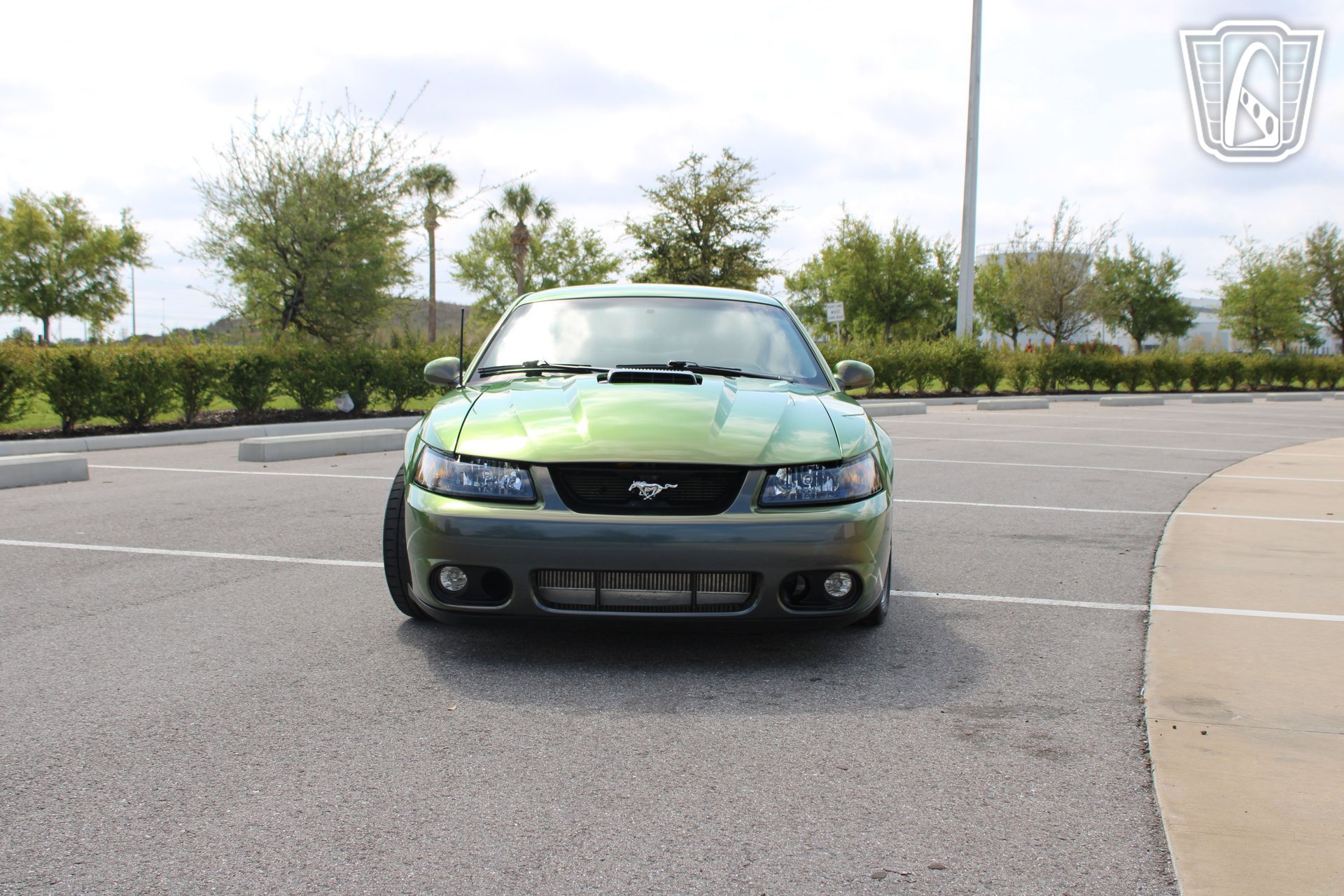Used 2003 Ford Mustang Mach 1 image 8