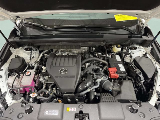 Certified 2026 Lexus NX 350 AWD w/ Cold Area Package image 26