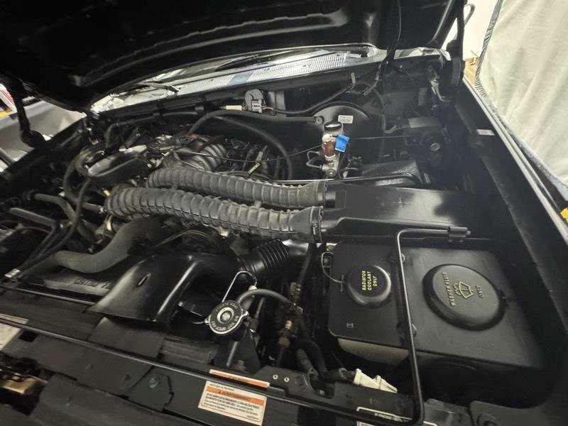 Used 1995 Ford Bronco XLT AWD/4WD image 17