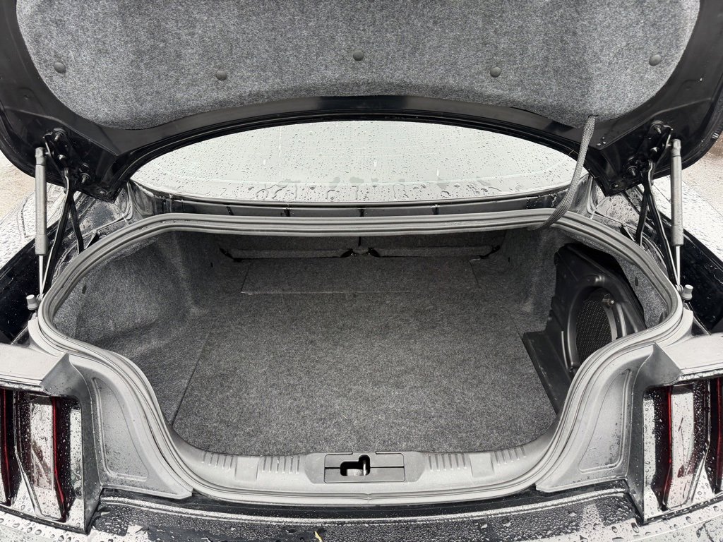 Used 2015 Ford Mustang GT Premium w/ Equipment Group 401A image 9