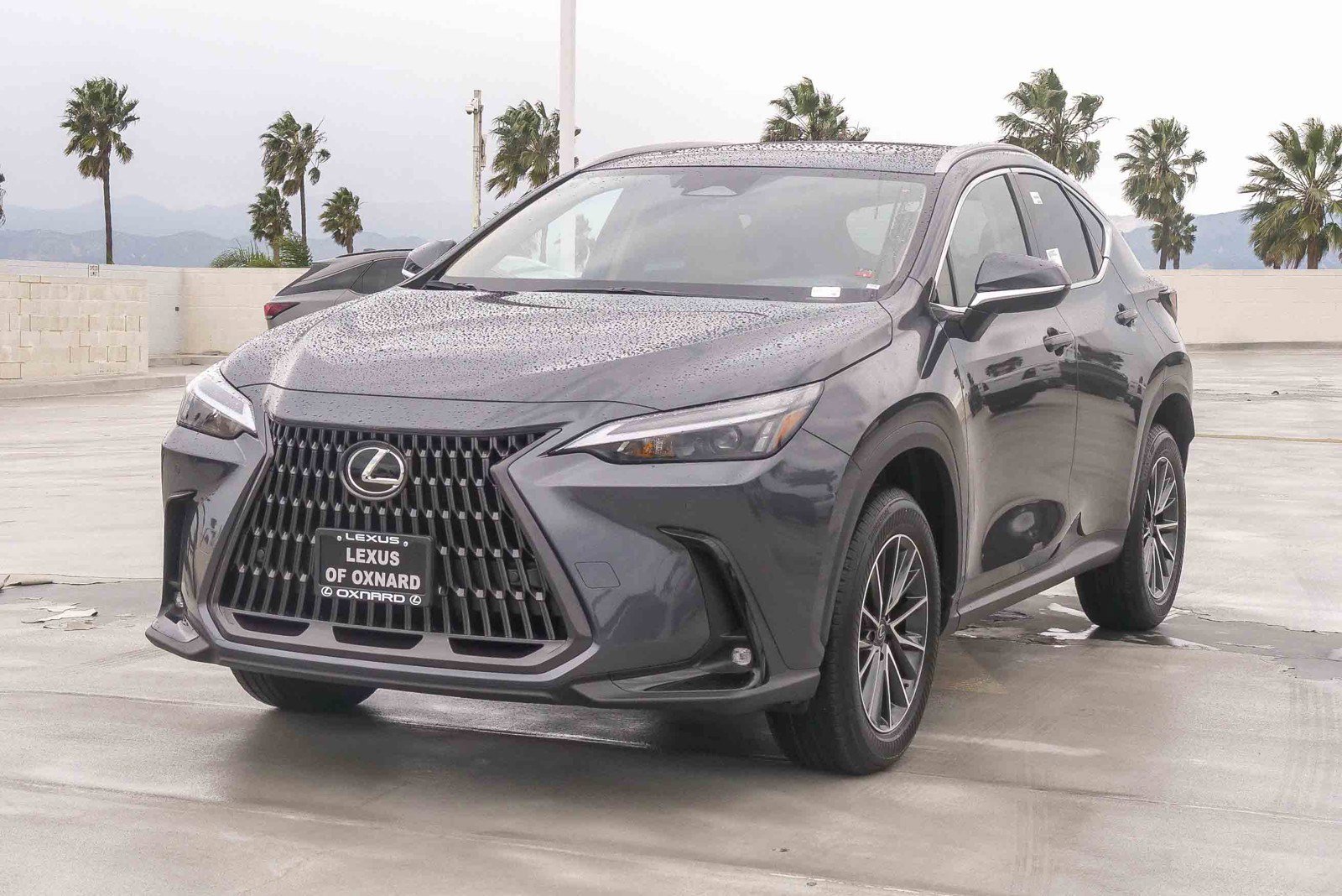 New 2026 Lexus NX 350h AWD w/ Premium Package image 3