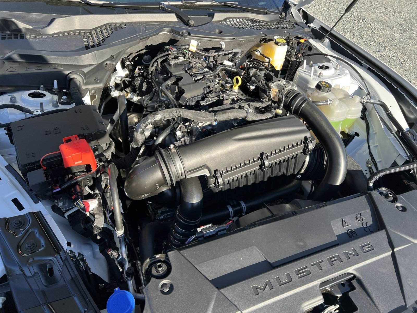 New 2026 Ford Mustang Coupe RWD image 25