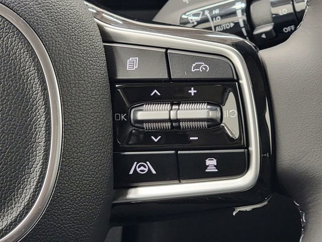 New 2026 Kia Carnival SX Prestige image 28